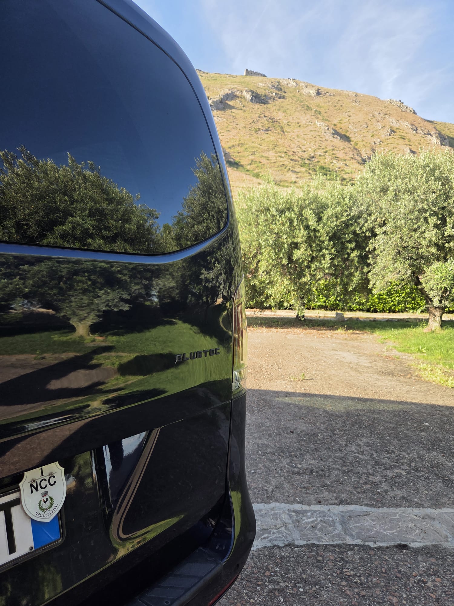Tour Vesuvio e degustazione vini Campania